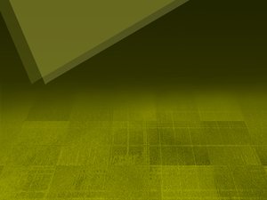 宠物生日派对策划创意，让主子开心一整天